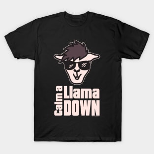 Eye Voodoo Boosh-Llama mk1 T-Shirt